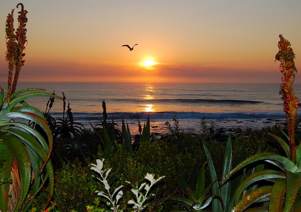 Aloe Again Hotel Jeffreys Bay Exterior foto